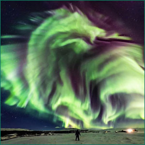 Auroral Dragon 2019