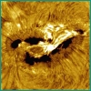 CME 720, Jan 2005